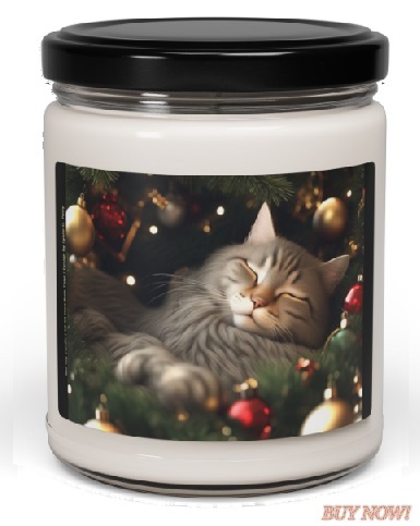 Christmas Dreams